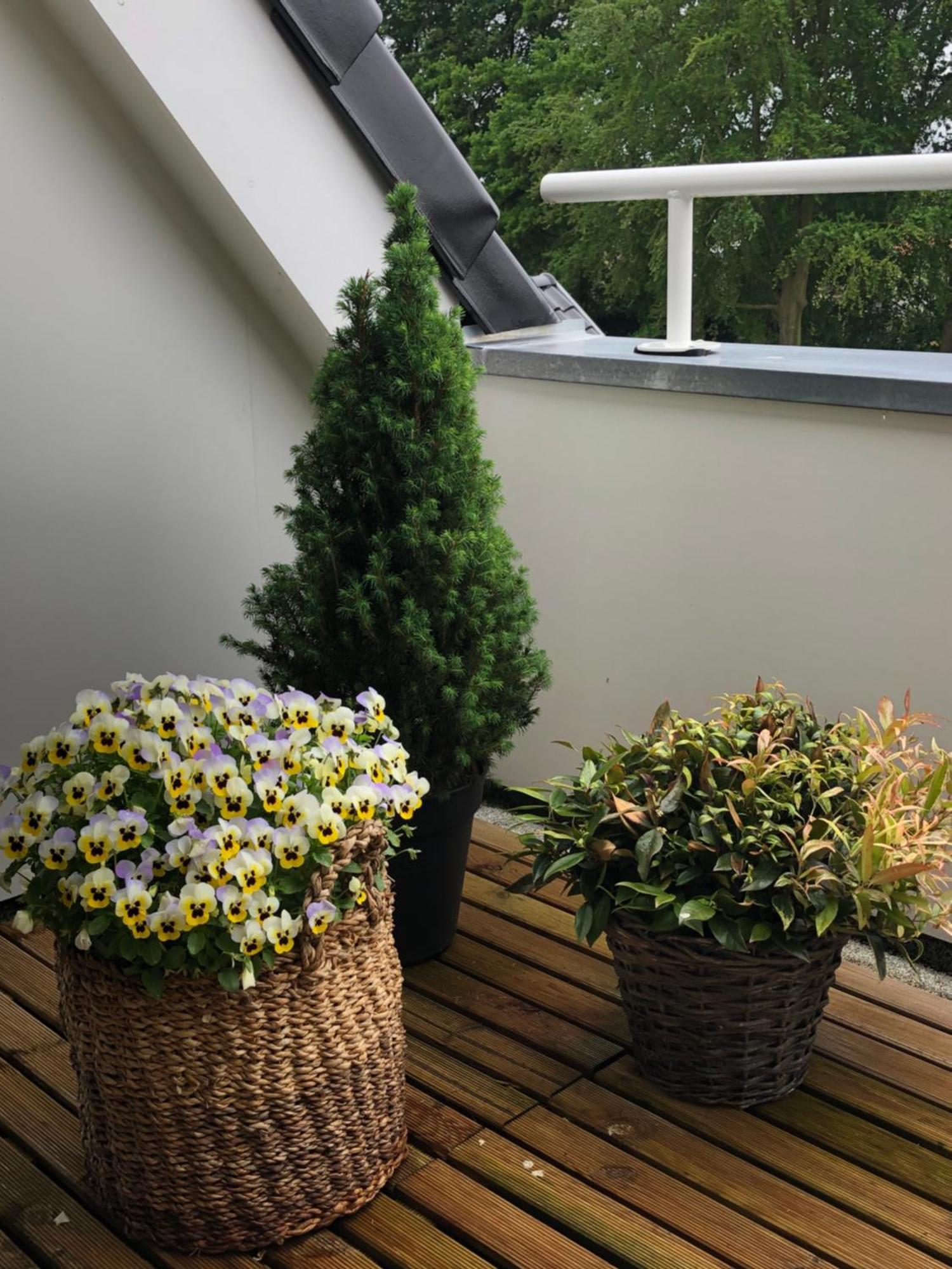 Apartament De Bakkerij Deurningen Zewnętrze zdjęcie